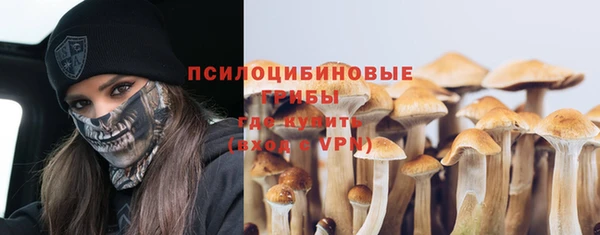 PSILOCYBIN Зеленодольск