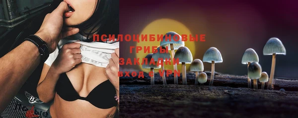 PSILOCYBIN Зеленодольск