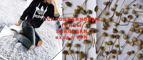 PSILOCYBIN Зеленодольск