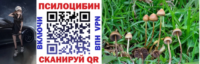 Галлюциногенные грибы прущие грибы  Волгодонск 